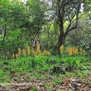 한라수산 이미지