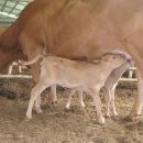 차오름농장 이미지