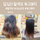 답십리21 | 답십리 미용실 탈색모 극손상모 복구매직 후기 동대문 은채헤어뷰
