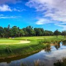 사파이어 이미지