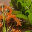 오렌지PC 반구점 | [화훼장식기능사] 실기시험 합격 찐 후기