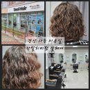 설헤어 | 경산 사동 미용실 단발히피펌 설헤어