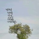 빛나;너