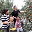 사과나무관광호텔 이미지