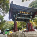 팔공산(八公山)과 선본사(禪本寺) 주변풍경 24/10/21 이미지