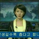마니로 Daum카페