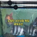로또수산 이미지