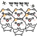 행복한우리집정리수납 이미지