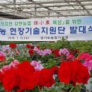 하일컨설팅 이미지