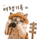 바다다 | [ 부산 광안리 숙소 ] 바다 뷰 숙소 료칸 바다다 후기