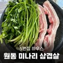 양산 원동 미나리 삼겹살 5번집 하우스 방문후기