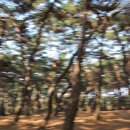 (주)삼능