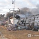 양계장닭한마리 이미지