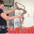 갑을축산 이미지