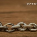 달빛부동산공인중개사사무소 이미지