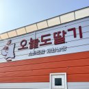 전일농장 | 아이들과 갈만한 곳 딸기체험농장 팜크닉 어린이 체험 체험농장 [오늘도딸기] 내돈내산 솔직후기 주의 사항