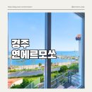 연에르모쏘 이미지