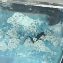 화정문고 이미지