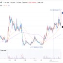 (주)쏠바이오 이미지