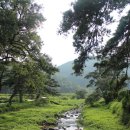 맛질송어회 이미지