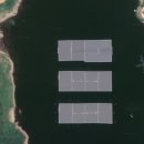 옥산태양광발전소 이미지