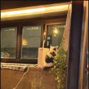 홍담 이미지
