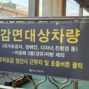 흰여울문화마을 안내센터 | 흰여울문화마을 주차장 정보 먹거리 포토존 광안리 구경