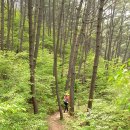 솔향기힐링펜션 이미지