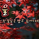 오늘의 운세(11월3일) 이미지