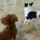 까페 개정촌 이미지