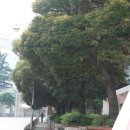 부경고등학교 이미지