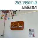 야옹아 놀자 | 경산 시지 고양이 무마취미용 야옹아놀자 장모 랙돌 후기
