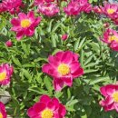 효림농장 이미지