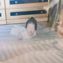 다시돌아온족가네 - 아산시 온천동 | 그냥 이럿케살아요.