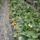 신도정보화마을 이미지