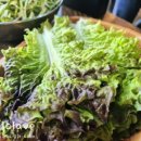 119딧고기 이미지