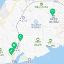 황박사목포쫀디기목포종합버스 이미지