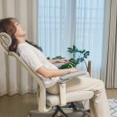 늘편한집 | 허리 편한 컴퓨터 의자 사이즈오브 체어 프리미엄 실사용 후기