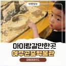 아이랑갈만한곳 추천! 여주곤충박물관 체험 후기, 아이들이 정말 좋아했어요