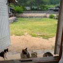 하늘마루 민박 이미지