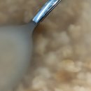 다향관 | 개강 그리고 블로그에 올리는 두번째 생일 후기