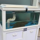 경기도 수원시 팔달구 세지로152번길 15 (인계동) 이미지