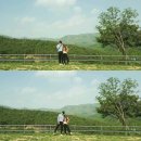 칠곡양떼목장 이미지