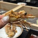 삼산대가리 이미지