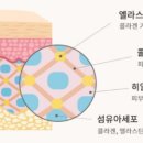 더 케어(THE CARE) 이미지
