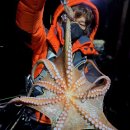 뽑고 또 뽑고 이미지