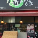 김초생초