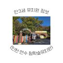 청학유치원 | 인천 연수구 │ 2026년 만3세 청학숲유치원 입학설명회 후기 (자연기반 숲교육 프로그램 분석)