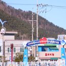여기는 팔포항입니다 네이버블로그