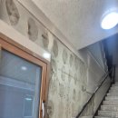 백호1길 이미지